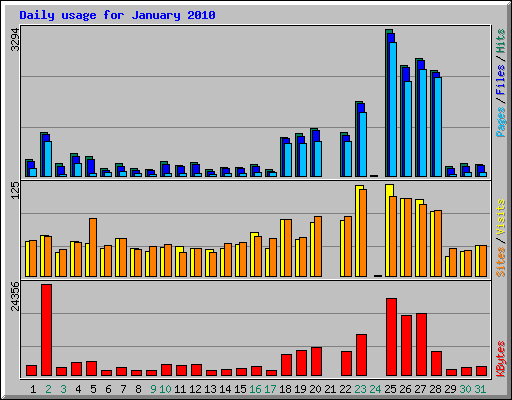 Daily usage for January 2010