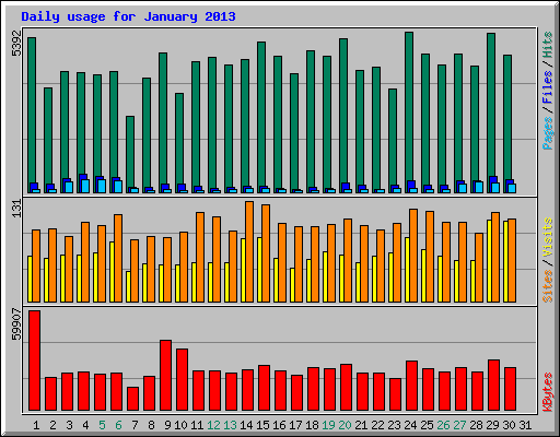 Daily usage for January 2013