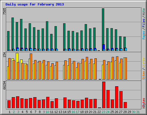 Daily usage for February 2013