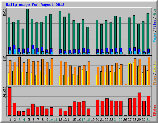 Daily usage for August 2013