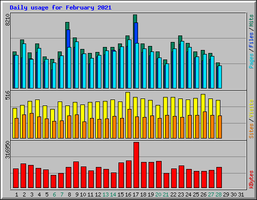 Daily usage for February 2021