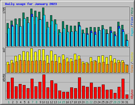 Daily usage for January 2023