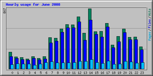 Hourly usage for June 2008