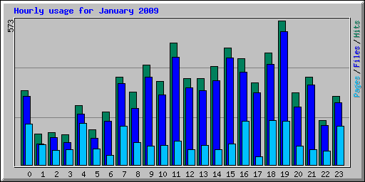 Hourly usage for January 2009