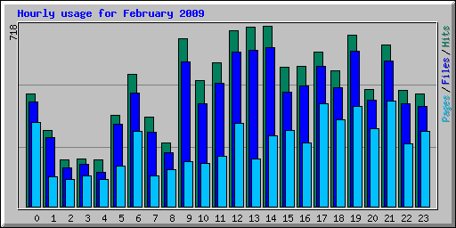 Hourly usage for February 2009