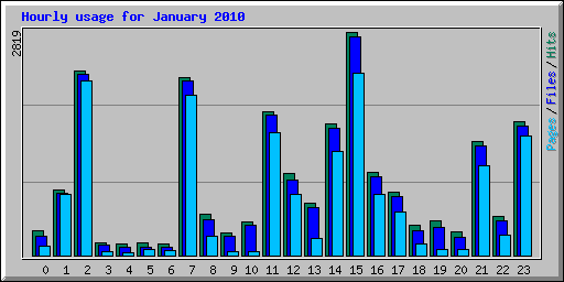 Hourly usage for January 2010