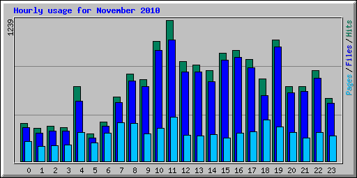 Hourly usage for November 2010