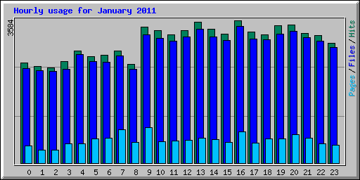 Hourly usage for January 2011