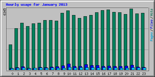 Hourly usage for January 2013