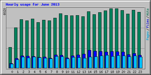 Hourly usage for June 2013