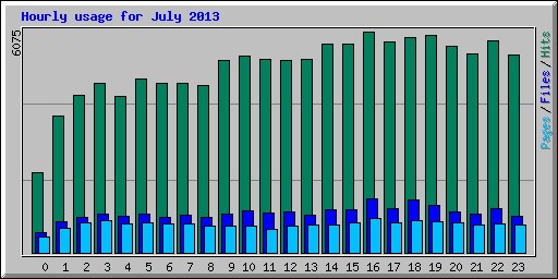 Hourly usage for July 2013