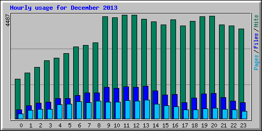 Hourly usage for December 2013