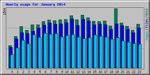 Hourly usage for January 2014