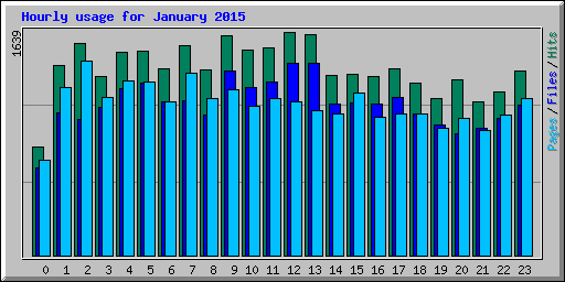 Hourly usage for January 2015