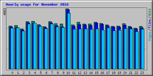 Hourly usage for November 2016