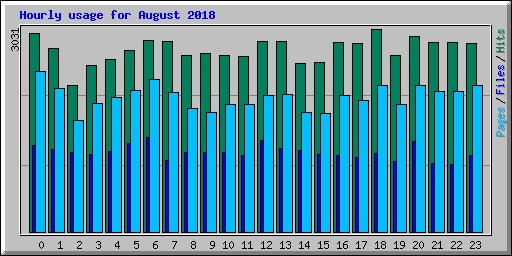 Hourly usage for August 2018