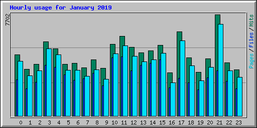 Hourly usage for January 2019