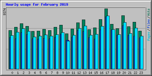 Hourly usage for February 2019