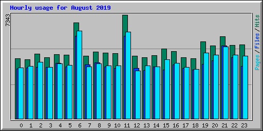 Hourly usage for August 2019