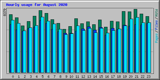 Hourly usage for August 2020