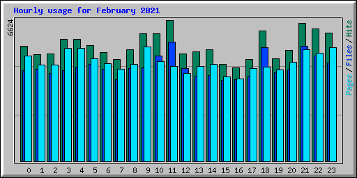 Hourly usage for February 2021