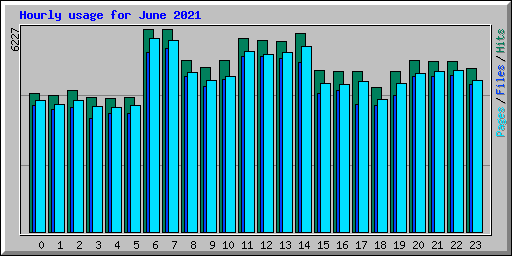 Hourly usage for June 2021