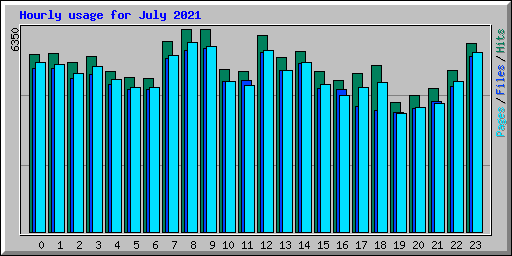 Hourly usage for July 2021