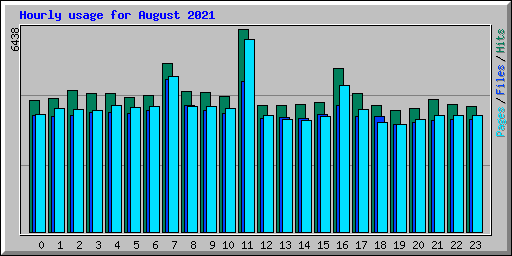 Hourly usage for August 2021