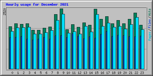 Hourly usage for December 2021