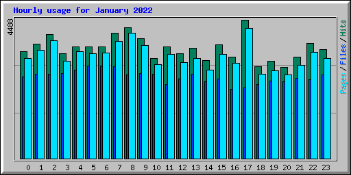 Hourly usage for January 2022