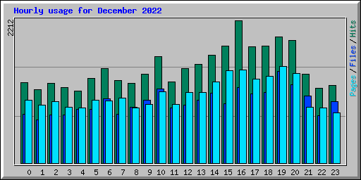 Hourly usage for December 2022