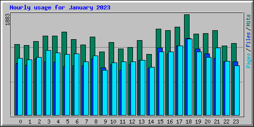 Hourly usage for January 2023