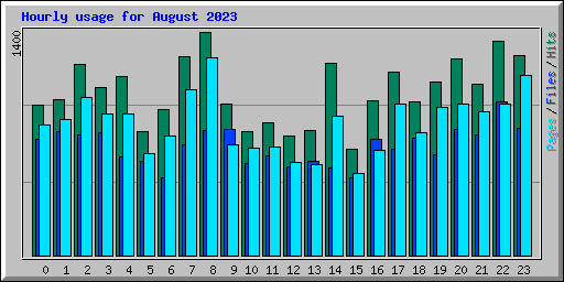 Hourly usage for August 2023