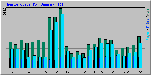 Hourly usage for January 2024