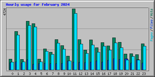 Hourly usage for February 2024