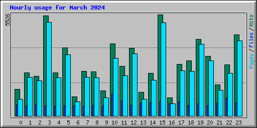 Hourly usage for March 2024