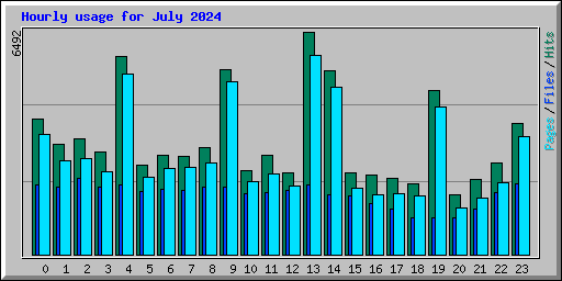 Hourly usage for July 2024