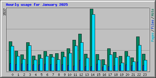 Hourly usage for January 2025