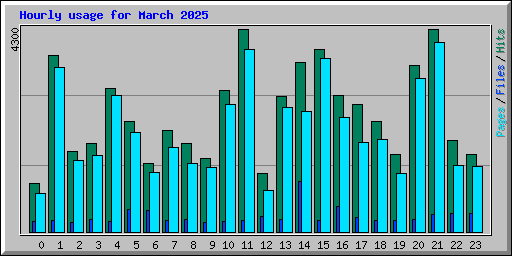 Hourly usage for March 2025