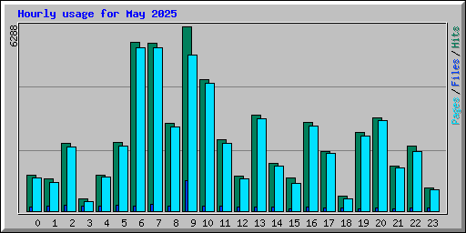 Hourly usage for May 2025